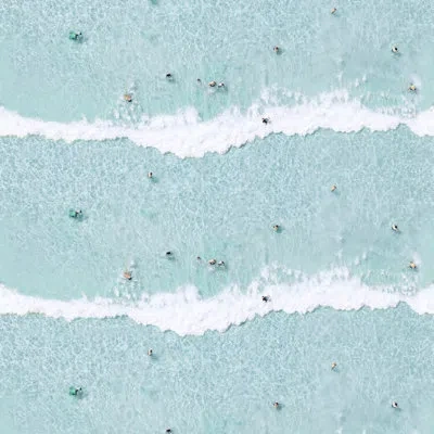 Mitchell Black Ocean Swimmers 10' L X 24" W Wallpaper Roll In Blue,white