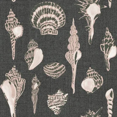 Mitchell Black Sullivan's Island Shells Serene Wallpaper By Megan Molten In Black,pink
