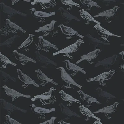 Mitchell Black The Signature Tweeter 10' L X 25" W Wallpaper Tile In Black