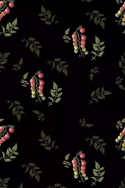 Mitchell Black Tomatoes Wallpaper