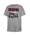 Mitchell & Ness Big Boys And Girls Gray Colorado Avalanche Popsicle T-shirt In Gray
