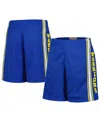 Mitchell & Ness Big Boys And Girls Royal Golden State Warriors Hardwood Classics Swingman Shorts In Royal
