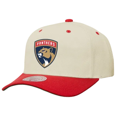 Mitchell & Ness Florida Panthers  Panthers 2tone Team Cap