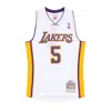 Mitchell & Ness Men's Basketball Tank Top Nba Alternate Jersey Hardwood Classics No 5 Robert Horry 2002-03 Loslak In White