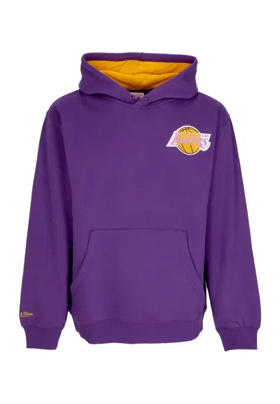 Mitchell & Ness Men's Hoodie Nba Premium Fleece Vintage Logo Hoodie Ervin Johnson Loslak Purple