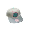 Mitchell & Ness Men's Nba Wolf Mag Pistons Snapback Cap In Light Grey In Green