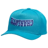 Mitchell & Ness Mens Charlotte Hornets  Hornets Hardwood Classic Upside Prosnap Cap In Teal/teal