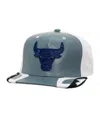 Mitchell & Ness Men's Gray Chicago Bulls Day 6 Snapback Hat In Gray,white