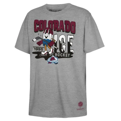 Mitchell & Ness Kids' Youth  Grey Colourado Avalanche Popsicle T-shirt