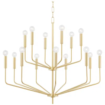 Mitzi By Hudson Valley Bailey 15 Light Chandelier Aged Brass