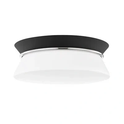 Mitzi Cath 2 Light Flush Mount In Polished Nickel,black