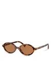 Miu Miu Regard Oval Sunglasses, 50mm In Havana/brown Solid