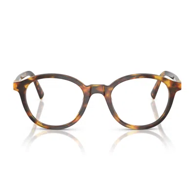 Miu Miu 0mu 02wv Vista 14l1o1 Havana Glasses In Brown