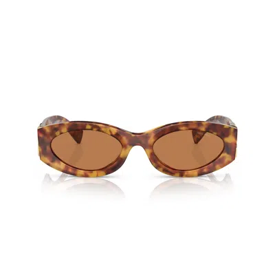 Miu Miu Saint Laurent Black Black Transparent Acetate Glasses In Multi