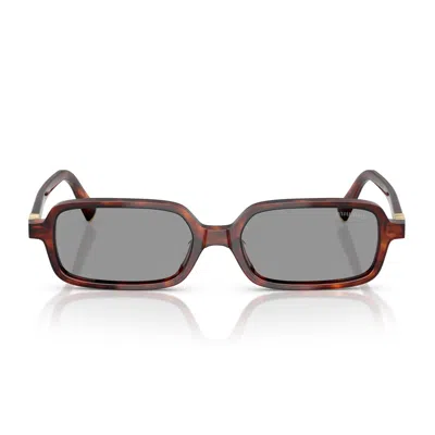 Miu Miu 0mu 11zs 21c40o Havana Mahogany Sunglasses In Brown