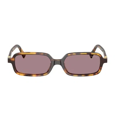 Miu Miu 0mu 11zs Miu Regard 14l20i Havana Miele Sunglasses In Brown