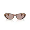 Miu Miu Womens Brown Mu A03s Irregular-frame Tortoise Acetate Sunglasses In Brown