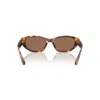 Miu Miu 0mu A03s14l60m In Brown