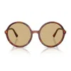 Miu Miu 0mu B02s Miu Regard 26e10r Tabacco Striato Sunglasses In Brown