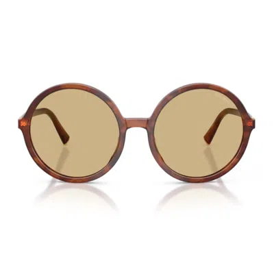 MIU MIU MIU MIU 0MU B02S MIU REGARD 26E10R TABACCO STRIATO SUNGLASSES