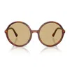 Miu Miu 0mu B02s Miu Regard Sunglasses In Brown