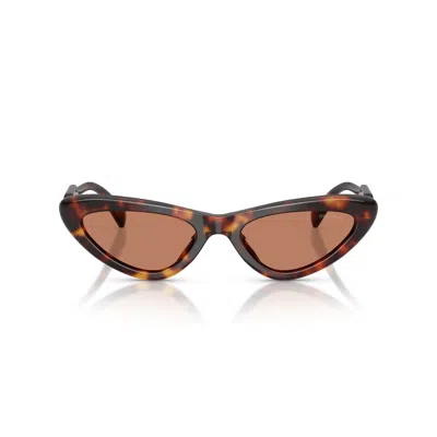 Miu Miu 0mu B11su Cat-eye Tortoiseshell Sunglasses In Black