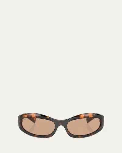 Miu Miu 14zsf Logo Oval Acetate Sunglasses In Brown