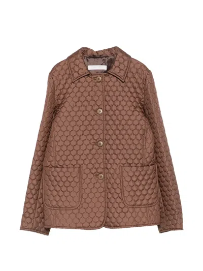 Pre-owned Miu Miu 2000s Quilted-design Single-breasted Coat In Brown