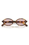 Miu Miu 50mm Oval Sunglasses In Brown
