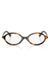 Miu Miu 50mm Oval Sunglasses In Brown