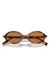 Miu Miu 50mm Oval Sunglasses In Brown