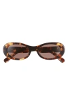 Miu Miu Logo Acetate Oval Sunglasses In Havana