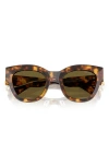 Miu Miu 51mm Square Sunglasses In Brown