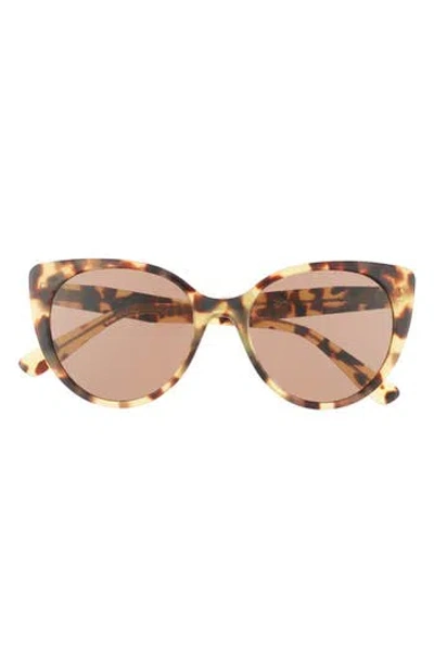 Miu Miu 52mm Cat Eye Sunglasses In Lite Havana
