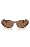 Miu Miu 53mm Irregular Sunglasses In Dark Brown