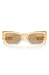 Miu Miu Logo Rectangle Acetate Sunglasses In Black Brown