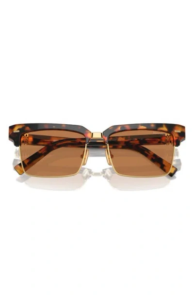 Miu Miu 54mm Square Sunglasses In Havana