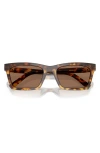 Miu Miu 55mm Rectangular Sunglasses In Dark Brown
