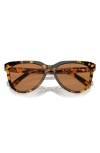 Miu Miu 56mm Phantos Sunglasses In Blond Havana