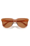 Miu Miu 56mm Phantos Sunglasses In Caramel