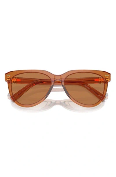 Miu Miu 56mm Phantos Sunglasses In Caramel