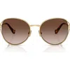 Miu Miu 58mm Gradient Phantos Sunglasses In Brown