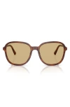 Miu Miu Womens Brown Mu B01s Square-frame Acetate Sunglasses In Brown