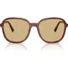 Miu Miu Womens Brown Mu B01s Square-frame Acetate Sunglasses In Brown