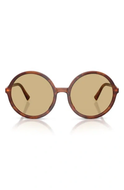 Miu Miu Acetate Oversized Round Sunglasses In Brown