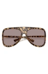 Miu Miu A01s Plastic Shield Sunglasses In Havana