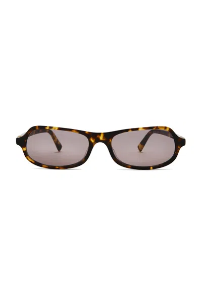 Miu Miu Acetate Sunglasses In Black