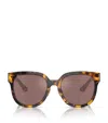 Miu Miu Womens Brown Mu 01zs Square-frame Acetate Sunglasses In Brown