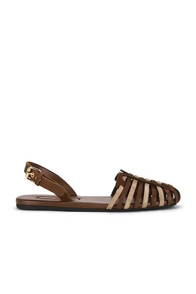 Miu Miu Ballerine Slingback Flat In Brown