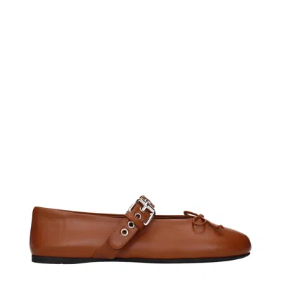 Miu Miu Ballerine Women Leather Brown/cognac